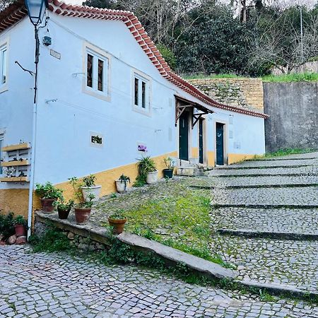 Pe Do Castelo Casinha - Pet Friendly & Garage Villa Томар Екстериор снимка